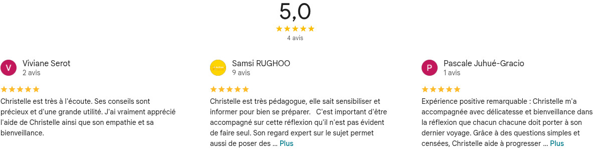 avis-google-compressed